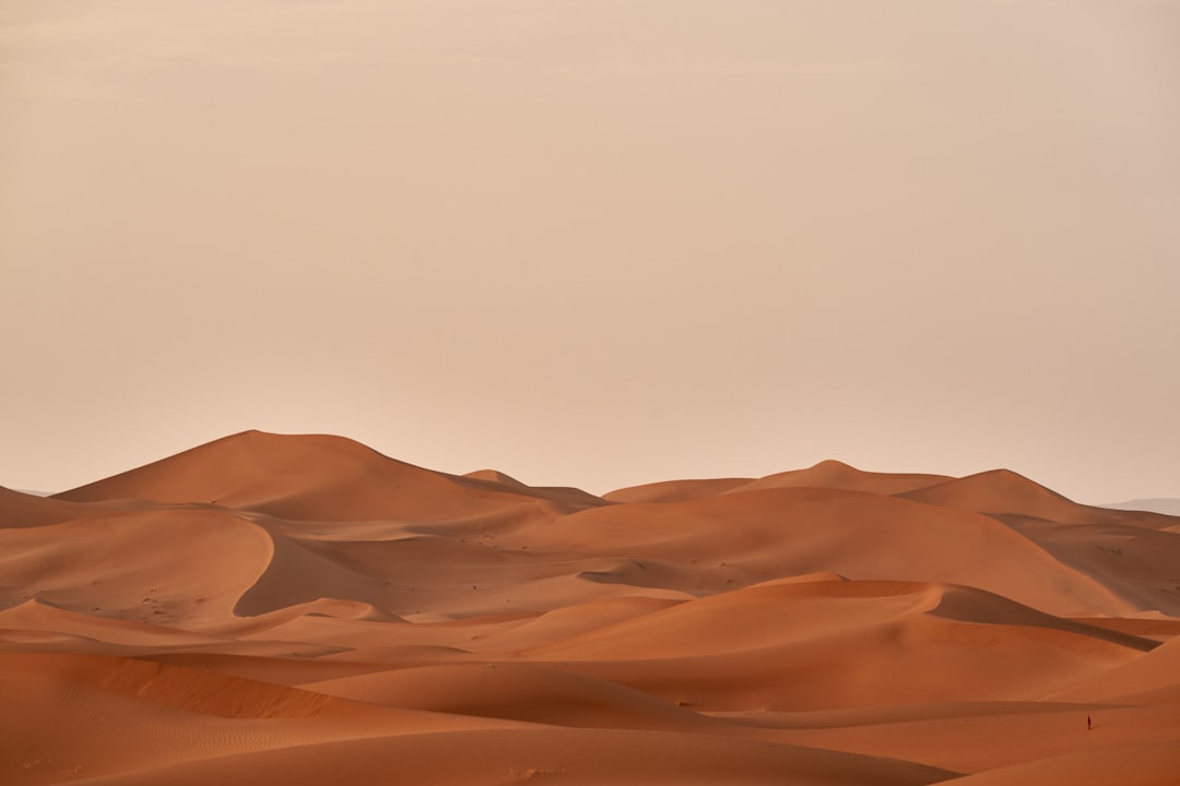 Photo Brown desert